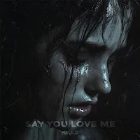 Azulo — Say You Love Me Ft Gewoonraves & Zentryc — обложка
